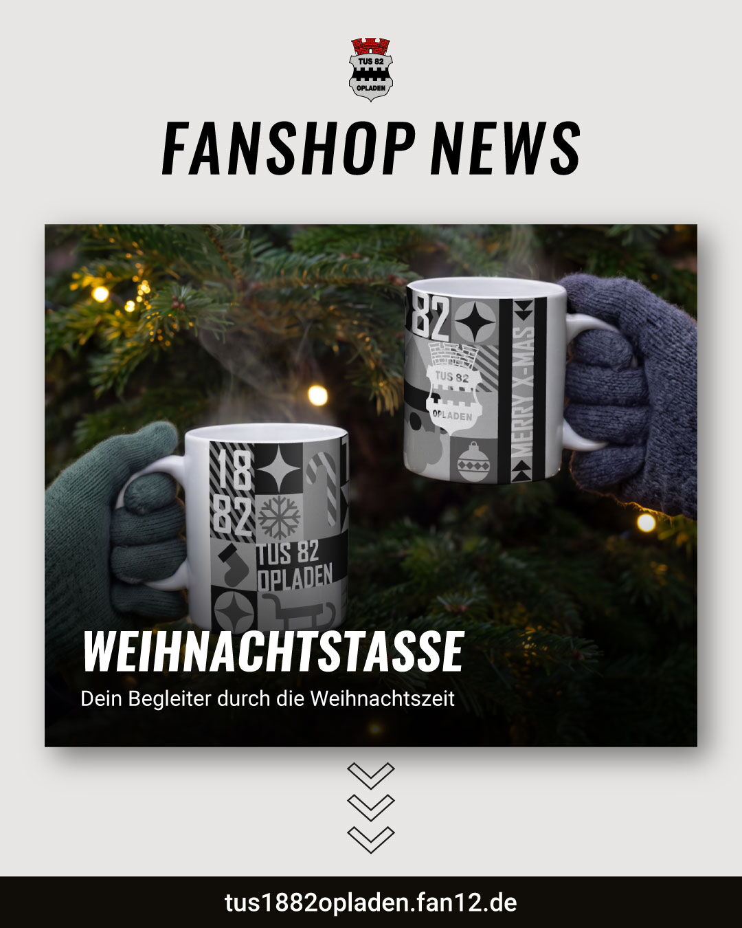 Fan-Shop-Klassik