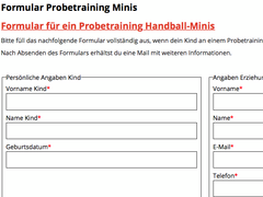 Formular-Probetraining-Minis