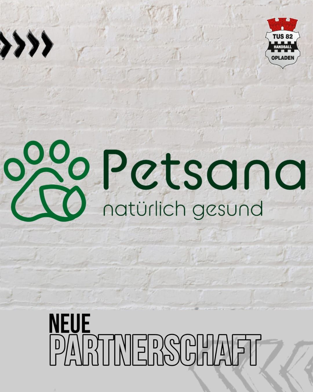Petsana-2025-09-12