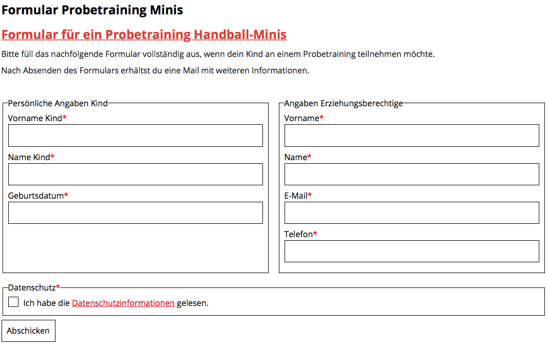 Formular-Probetraining-Minis